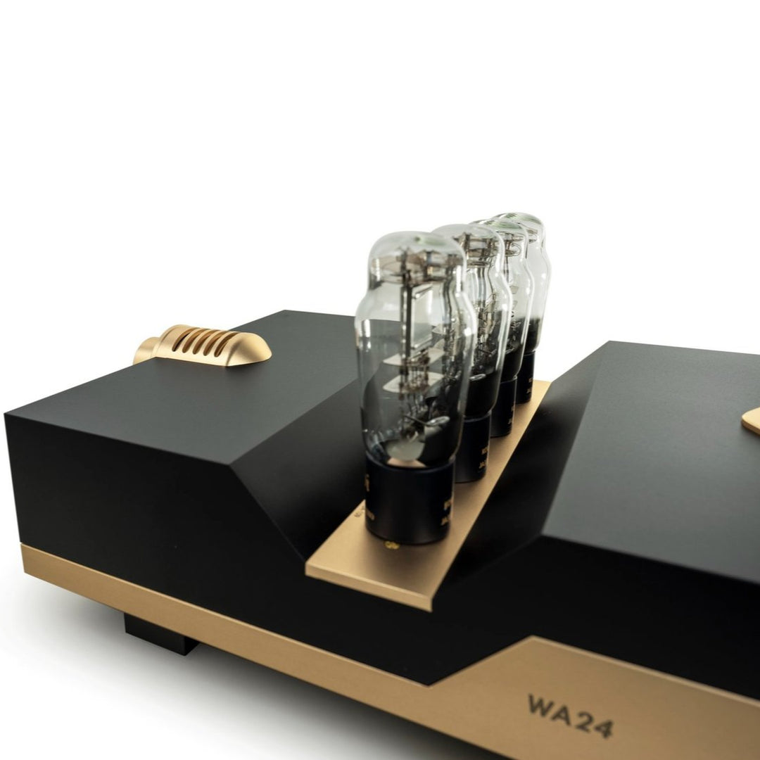 Усилитель для наушников Woo Audio WA24 20th Anniversary Edition